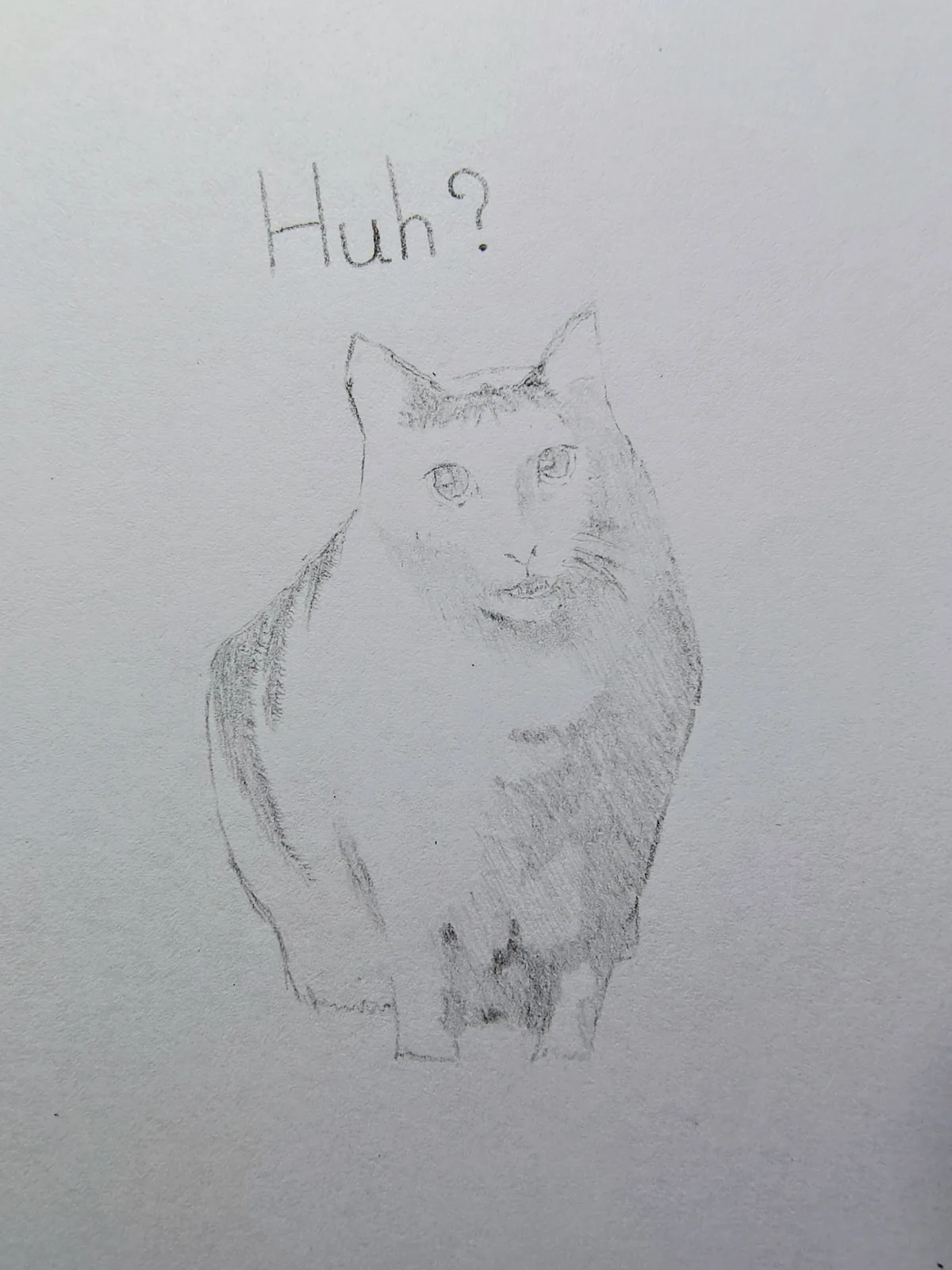 ミームを描きます